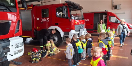 Powiększ grafikę: biedroneczki-na-pikniku-u-strazakow-627446.jpg