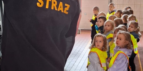 Powiększ grafikę: biedroneczki-na-pikniku-u-strazakow-627451.jpg