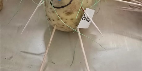 Powiększ grafikę: cudaki-z-ziemniakow-639510.jpg