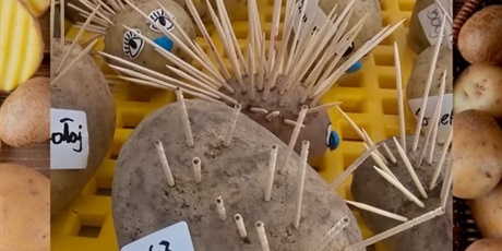 Powiększ grafikę: cudaki-z-ziemniakow-639512.jpg