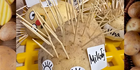 Powiększ grafikę: cudaki-z-ziemniakow-639513.jpg