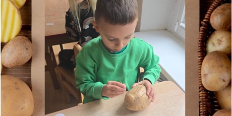 Powiększ grafikę: cudaki-z-ziemniakow-639516.jpg