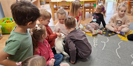 Powiększ grafikę: dogoterapia-z-evo-i-pania-magda-w-gr-ii-651741.jpg