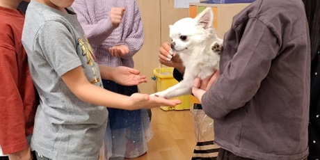 Powiększ grafikę: dogoterapia-z-evo-i-pania-magda-w-gr-ii-651752.jpg