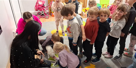 Powiększ grafikę: dogoterapia-z-evo-i-pania-magda-w-gr-ii-651753.jpg