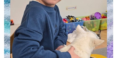 Powiększ grafikę: dogoterapia-z-evo-i-pania-magda-w-gr-iii-651731.jpg