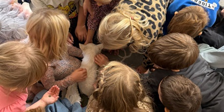 Powiększ grafikę: dogoterapia-z-evo-i-pania-magda-w-gr-iii-651735.jpg