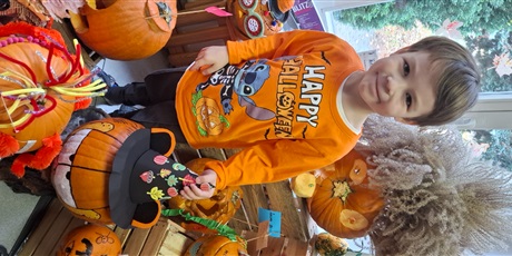 Powiększ grafikę: dzien-dyni-w-gr-ii-651760.jpg