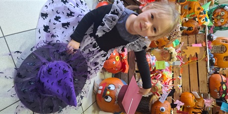 Powiększ grafikę: dzien-dyni-w-gr-ii-651767.jpg