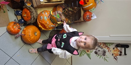 Powiększ grafikę: dzien-dyni-w-gr-ii-651771.jpg