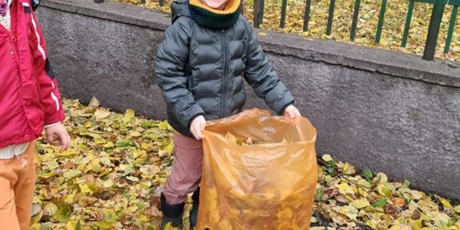 Powiększ grafikę: dzien-dyni-w-gr-iii-652378.jpg