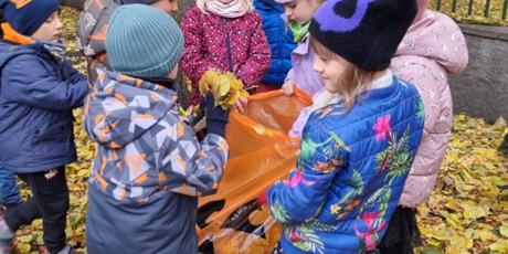 Powiększ grafikę: dzien-dyni-w-gr-iii-652379.jpg