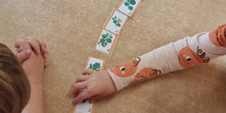 Powiększ grafikę: dzien-dyni-w-gr-iii-652380.jpg