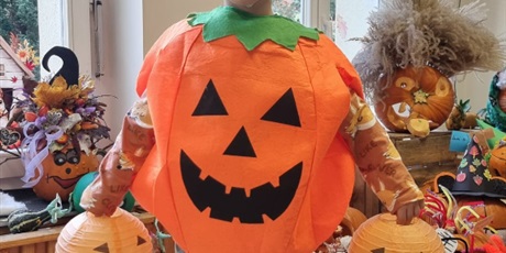 Powiększ grafikę: dzien-dyni-w-gr-iii-652383.jpg