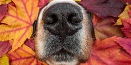 DZIEŃ KUNDELKA W GR.III