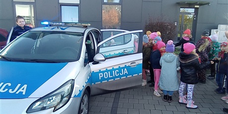 Pszczółki na Komisariacie Policji 