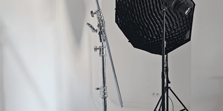 Pszczółki w studio fotograficznym 