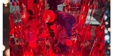 Powiększ grafikę: pszczolki-zwiedzaja-de-javu-686549.jpg