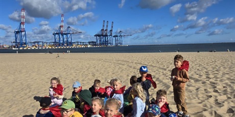 Powiększ grafikę: sprzatanie-swiata-na-plazy-przez-pszczolki-639498.jpg