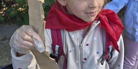 Powiększ grafikę: sprzatanie-swiata-na-plazy-przez-pszczolki-639502.jpg