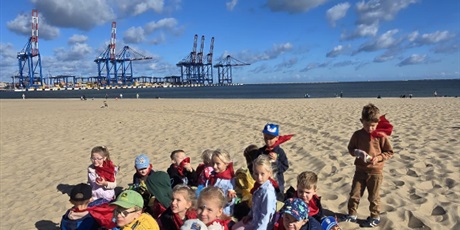 Powiększ grafikę: sprzatanie-swiata-na-plazy-przez-pszczolki-639506.jpg