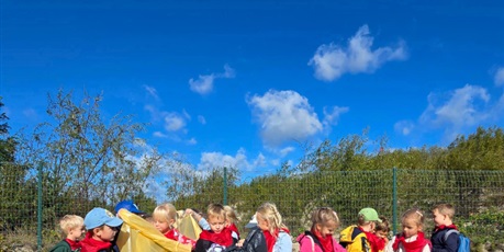 Powiększ grafikę: sprzatanie-swiata-na-plazy-przez-pszczolki-639507.jpg