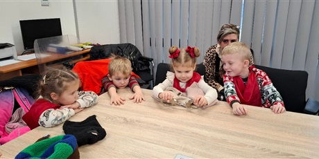 Powiększ grafikę: wycieczka-motylkow-do-ii-komisariatu-policji-w-gdansku-658655.jpg