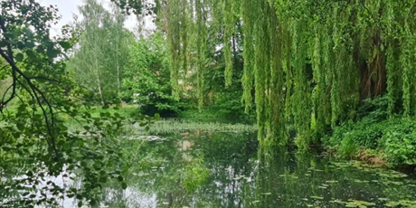 Powiększ grafikę: wycieczka-na-lotnisko-gr-iii-626873.jpg
