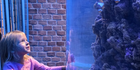 Powiększ grafikę: zajecia-w-hevelianum-gr-iii-650537.jpg