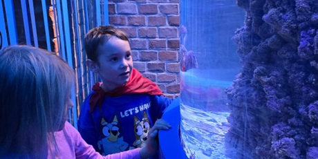 Powiększ grafikę: zajecia-w-hevelianum-gr-iii-650538.jpg