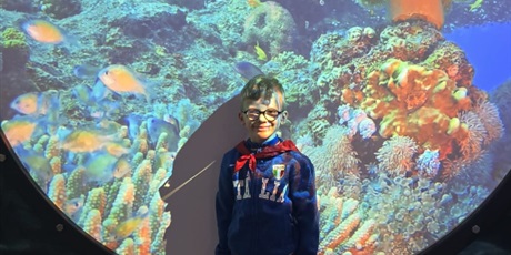 Powiększ grafikę: zajecia-w-hevelianum-gr-iii-650541.jpg