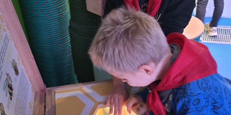 Powiększ grafikę: zajecia-w-hevelianum-gr-iii-650547.jpg