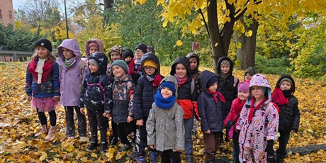 Powiększ grafikę: zajecia-w-hevelianum-gr-iii-650548.jpg