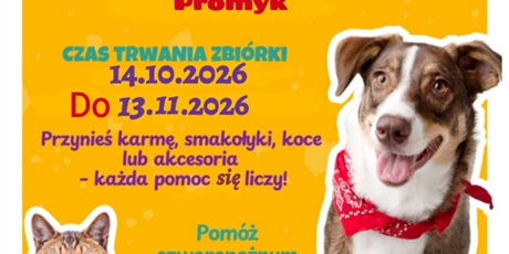 Zbiórka dla schroniska